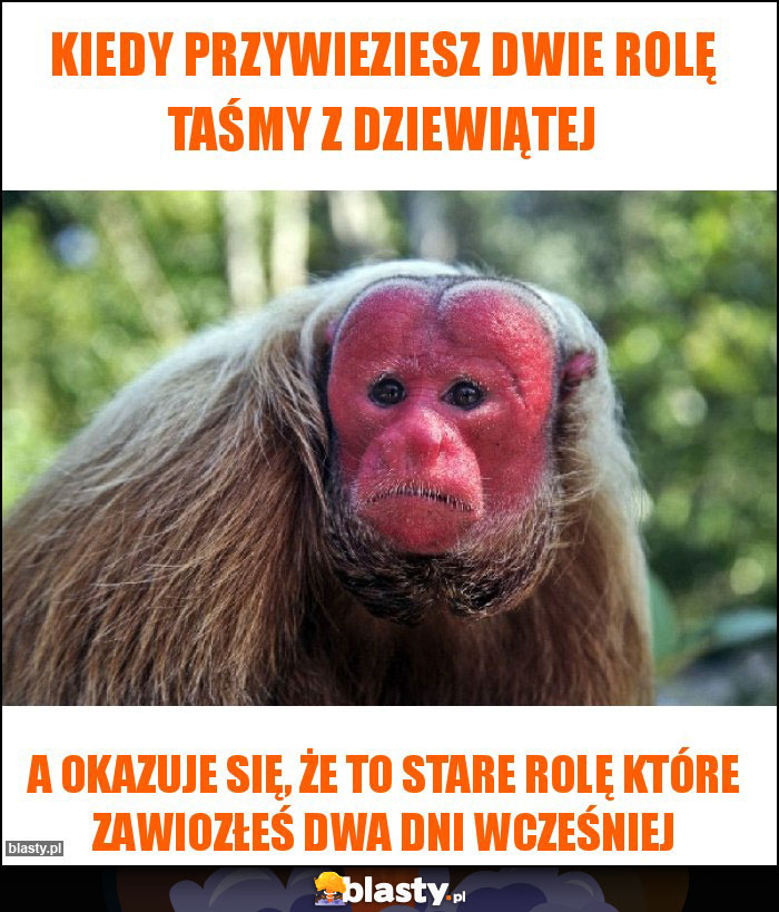 Kiedy przywieziesz dwie rolę taśmy z dziewiątej