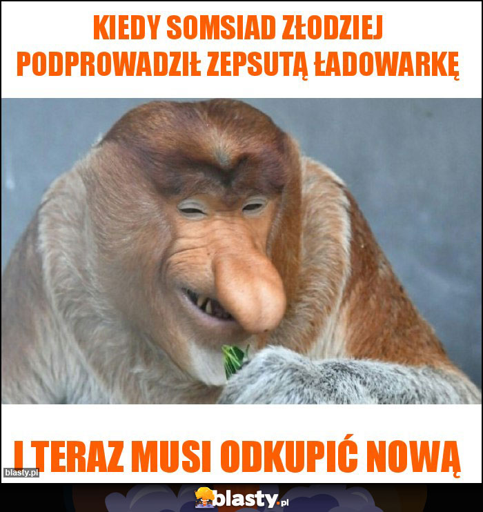 Kiedy somsiad złodziej podprowadził zepsutą ładowarkę