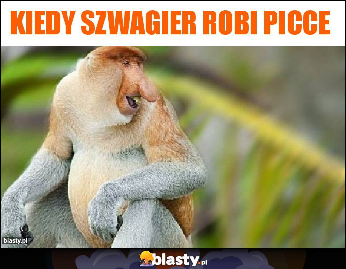 Kiedy szwagier robi picce