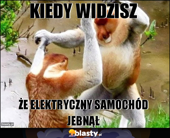 KIEDY WIDZISZ