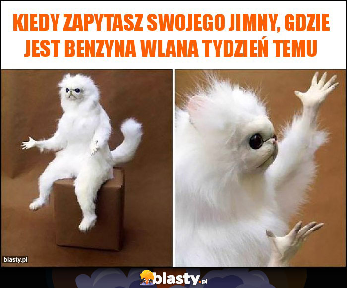 Kiedy zapytasz swojego Jimny, gdzie jest benzyna wlana tydzień temu