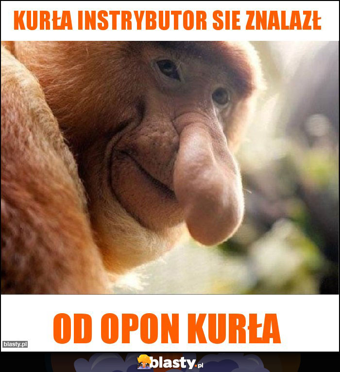 Kurła instrybutor sie znalazł