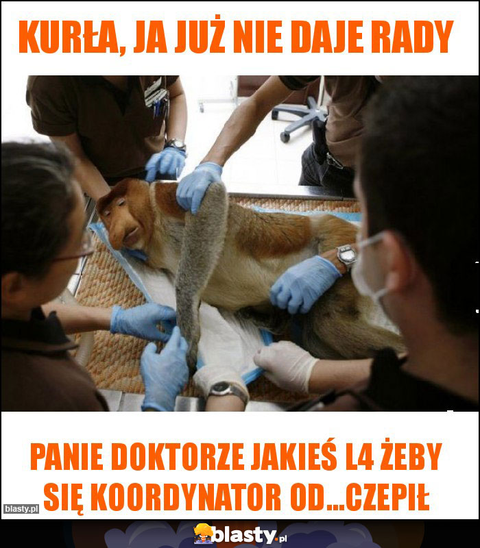 kurła, ja już nie daje rady