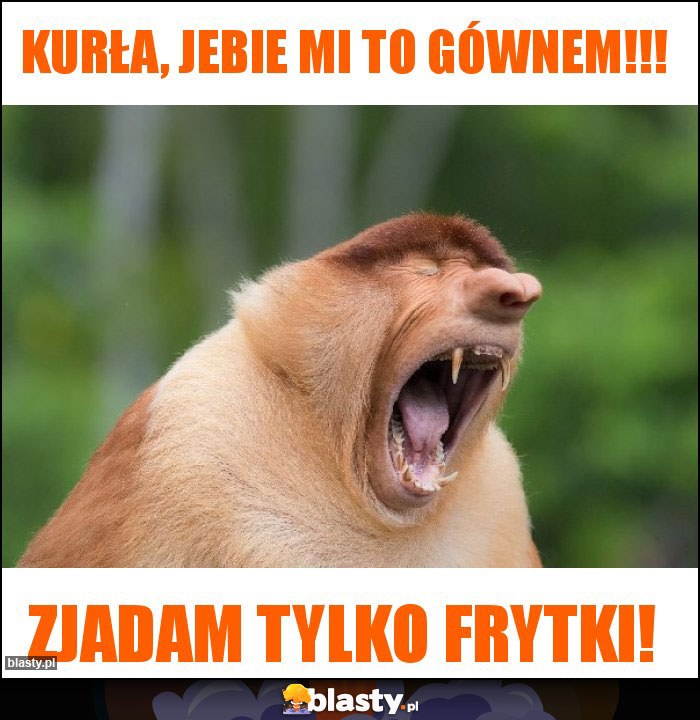 kurła, jebie mi to gównem!!!