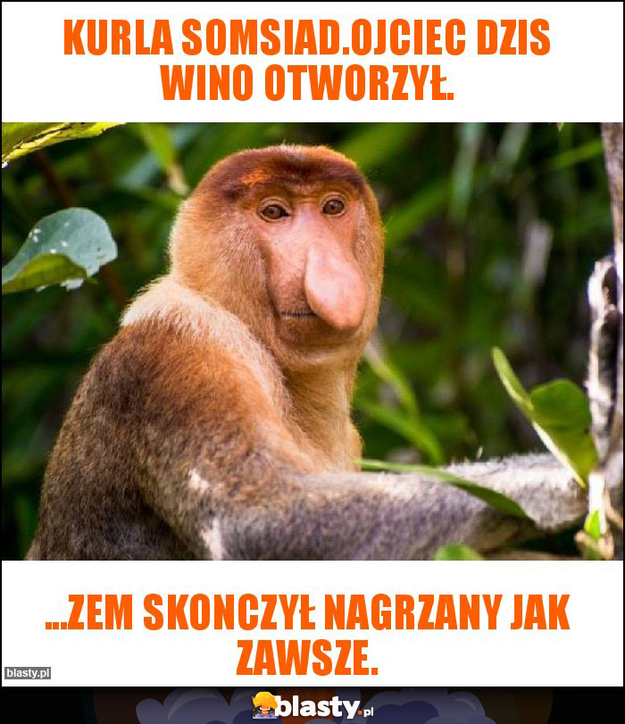 Kurla Somsiad.Ojciec dzis wino otworzył.