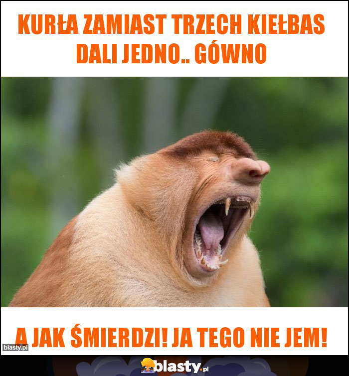 kurła zamiast trzech kiełbas dali jedno.. gówno