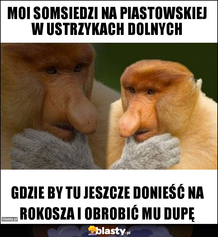 Moi SOMSIEDZI na Piastowskiej w Ustrzykach Dolnych