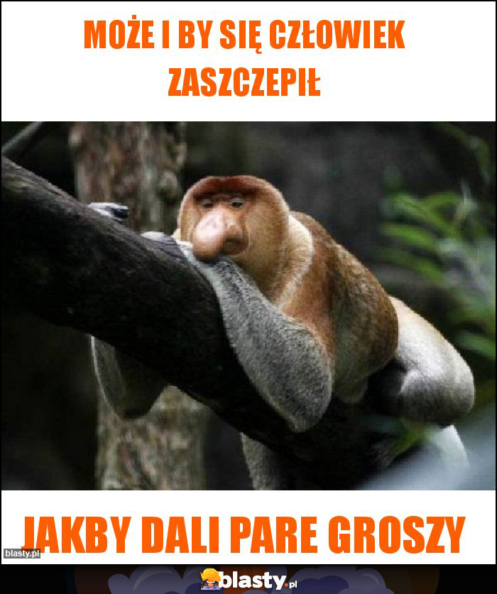 Może i by się człowiek zaszczepił