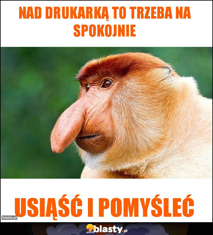 nad drukarką to trzeba na spokojnie