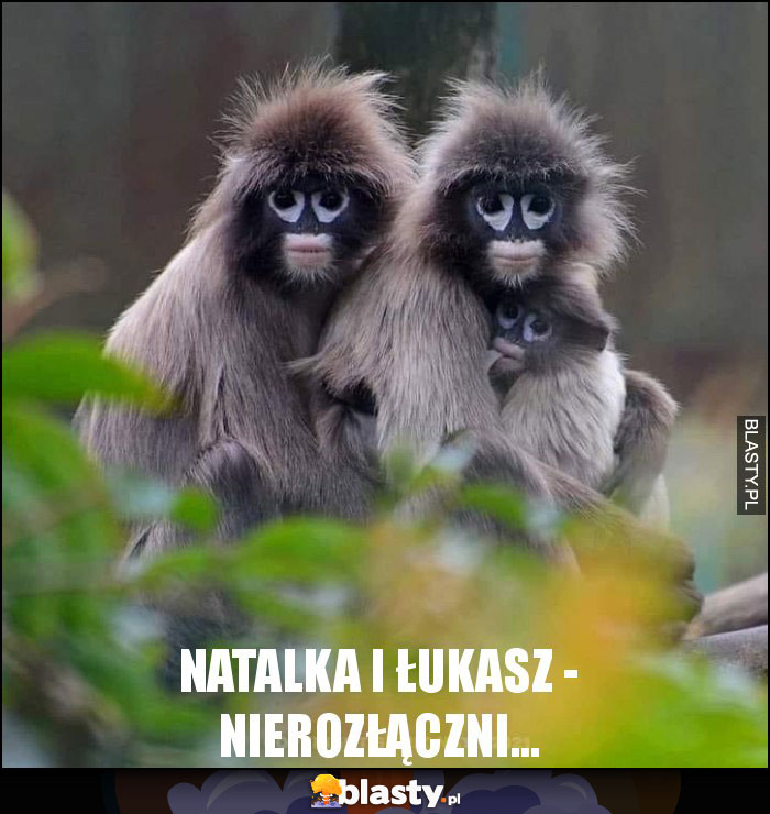 Natalka i Łukasz - nierozłączni...