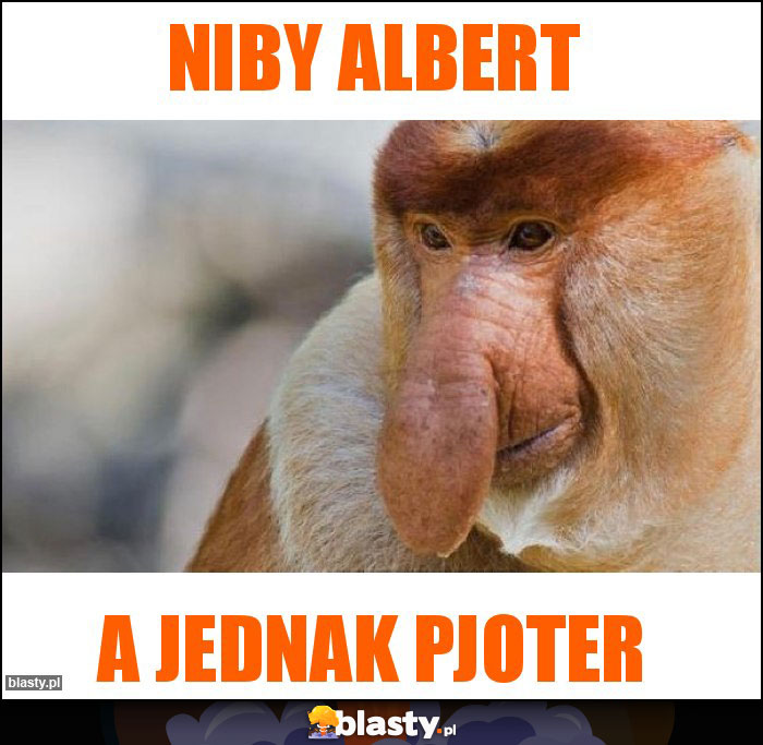 Niby Albert