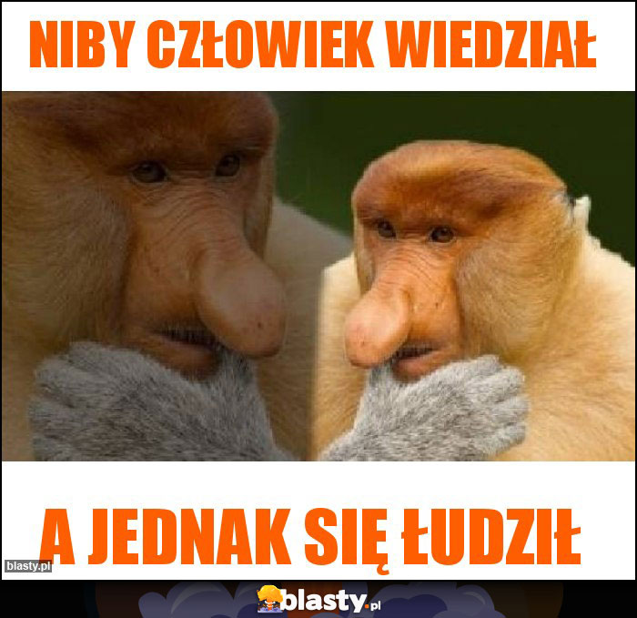 Niby człowiek wiedział