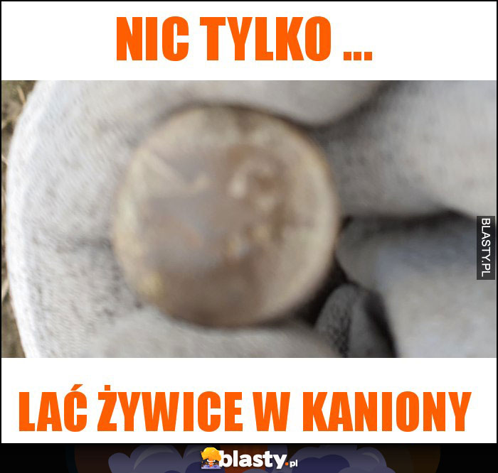 Nic tylko ...