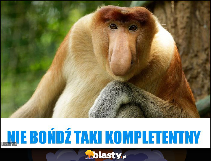 nie bońdź taki kompletentny