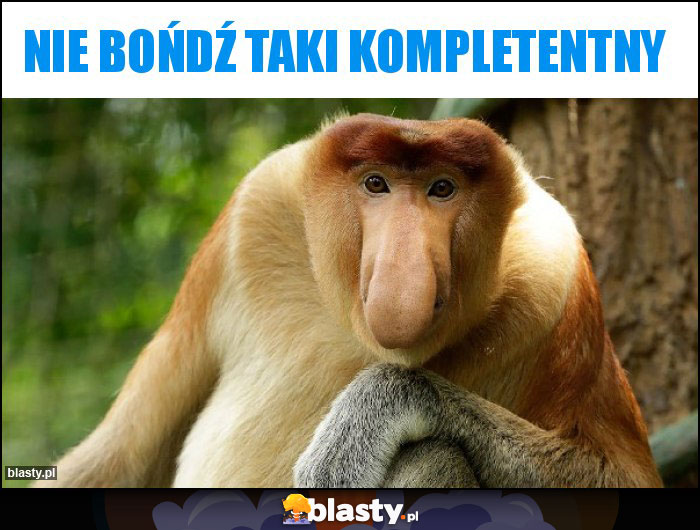 nie bońdź taki kompletentny