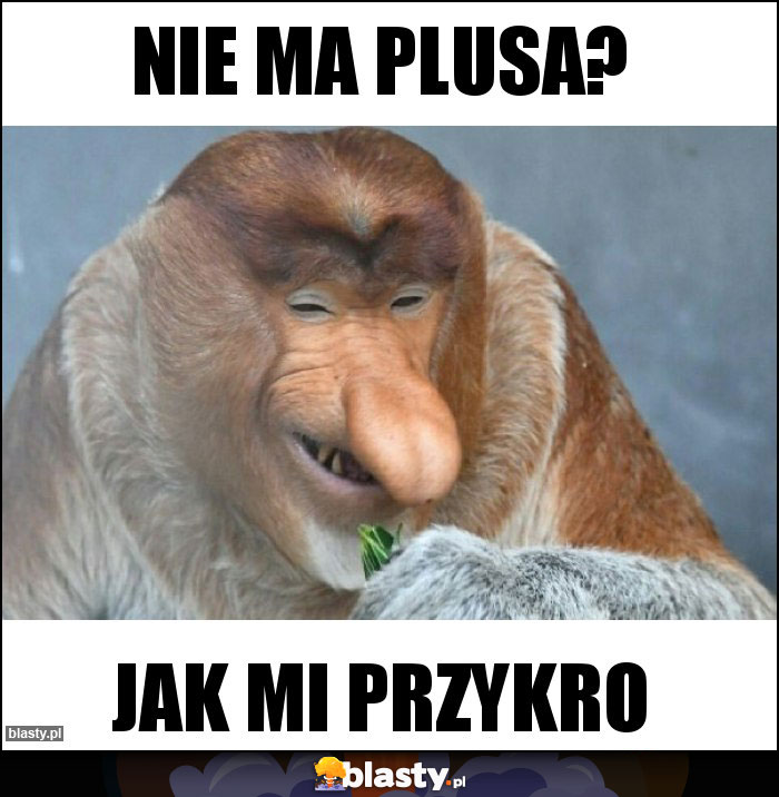 Nie ma plusa?