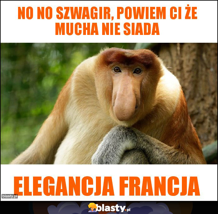 no no szwagir, powiem Ci że mucha nie siada