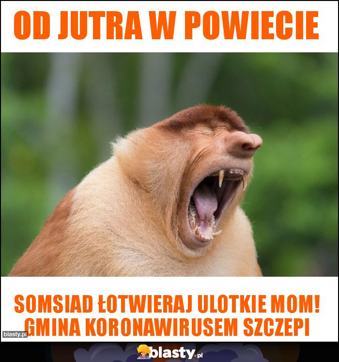 Od jutra w powiecie