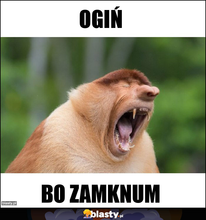 OGIń