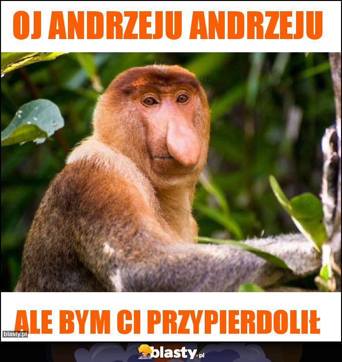 Oj Andrzeju Andrzeju