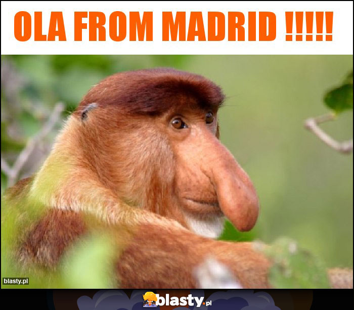 Ola from Madrid !!!!!