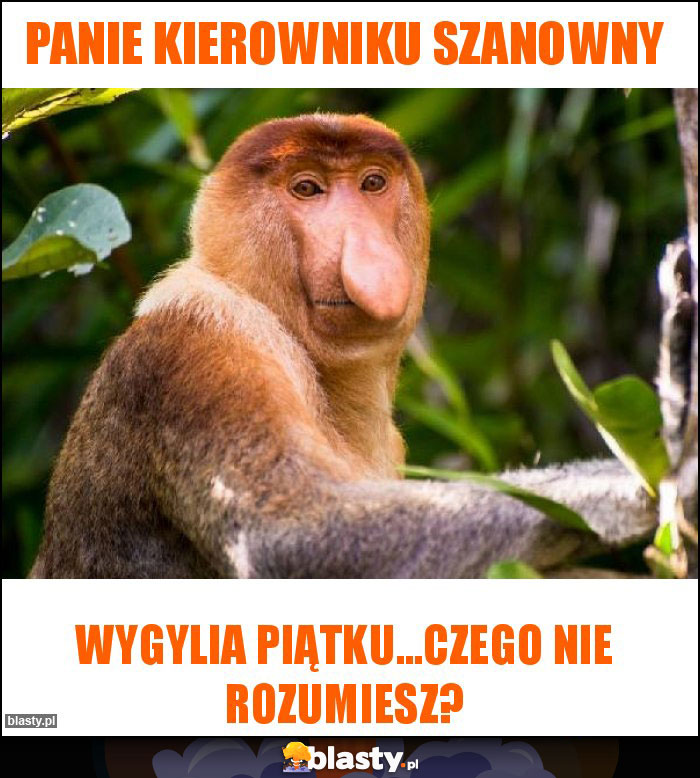 Panie Kierowniku Szanowny