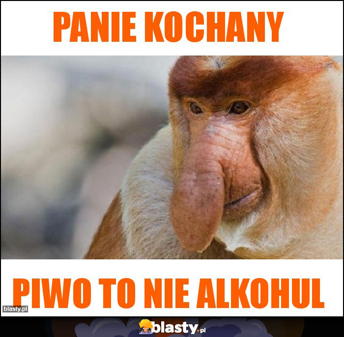 Panie kochany