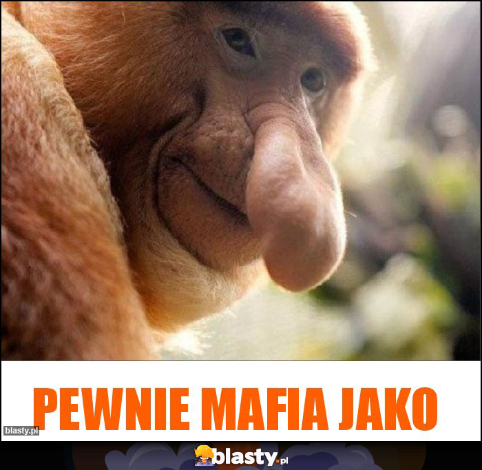 Pewnie mafia jako