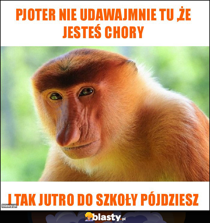 Pjoter nie udawajmnie tu ,że jesteś chory