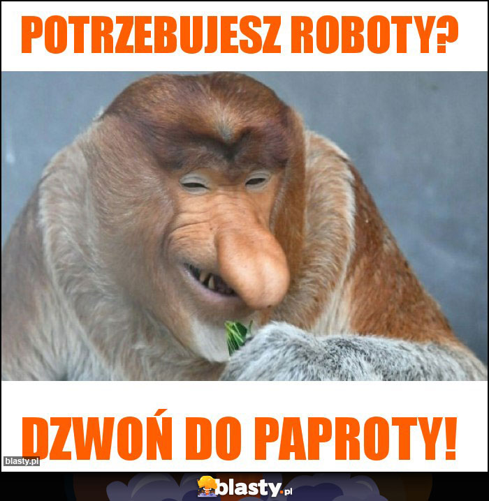 Potrzebujesz roboty?