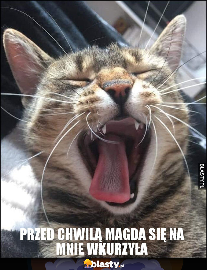 Przed chwilą Magda się na mnie wkurzyła