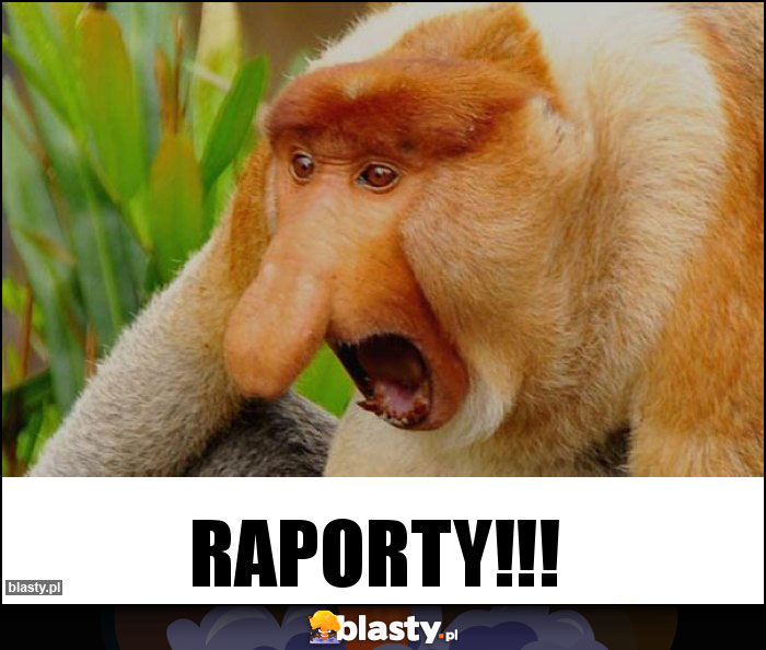 RAPORTY!!!