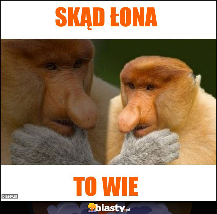 Skąd łona