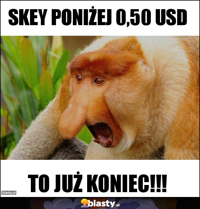 SKEY PONIŻEJ 0,50 USD