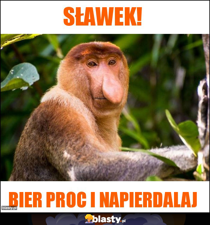 Sławek!