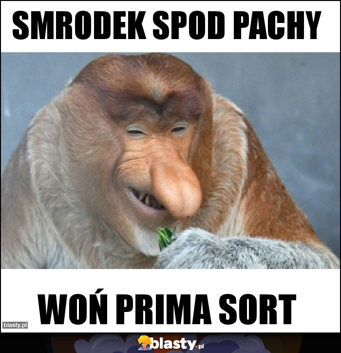 Smrodek spod pachy