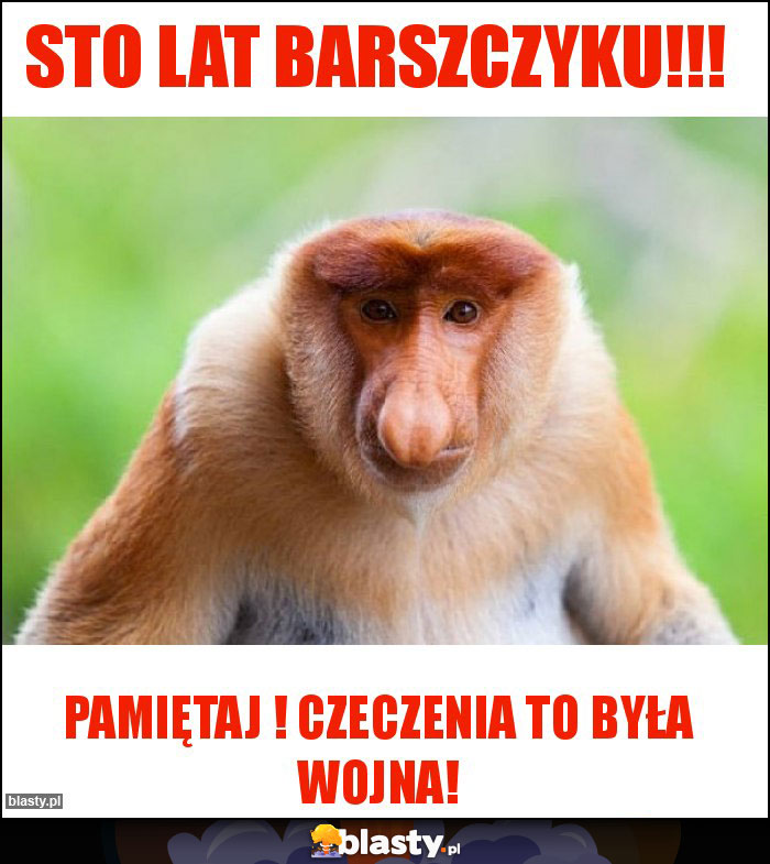 STO LAT BARSZCZYKU!!!