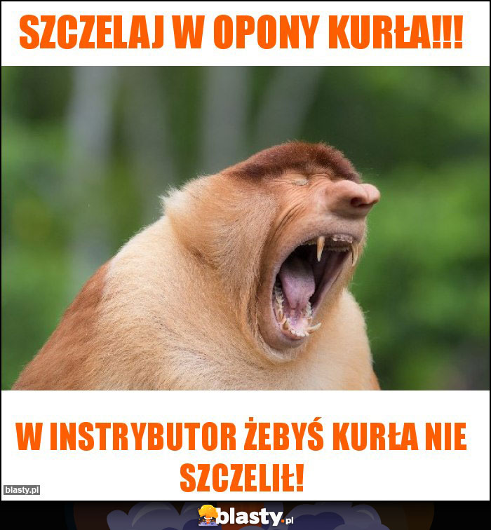 Szczelaj w opony kurła!!!