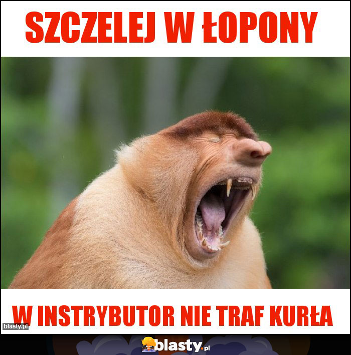 Szczelej w łopony