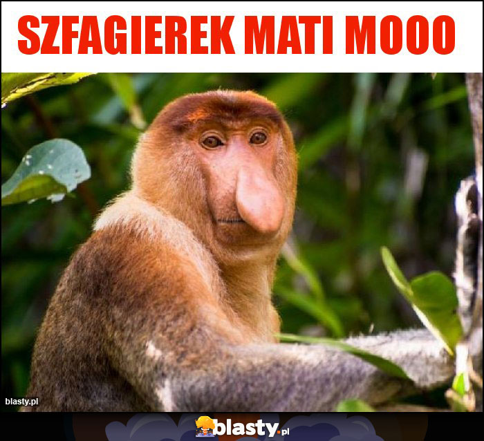 Szfagierek Mati mooo