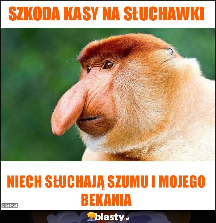 szkoda kasy na słuchawki