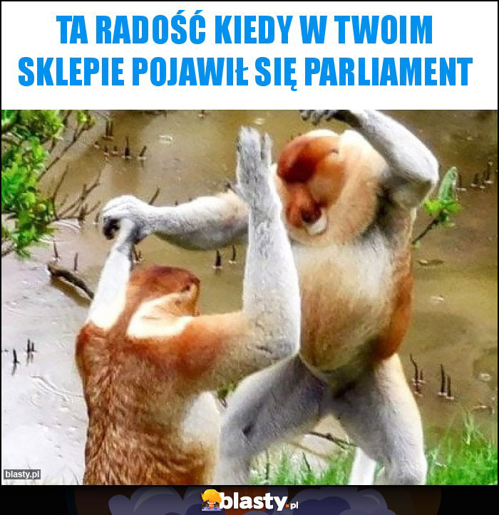 Ta radość kiedy w twoim sklepie pojawił się Parliament