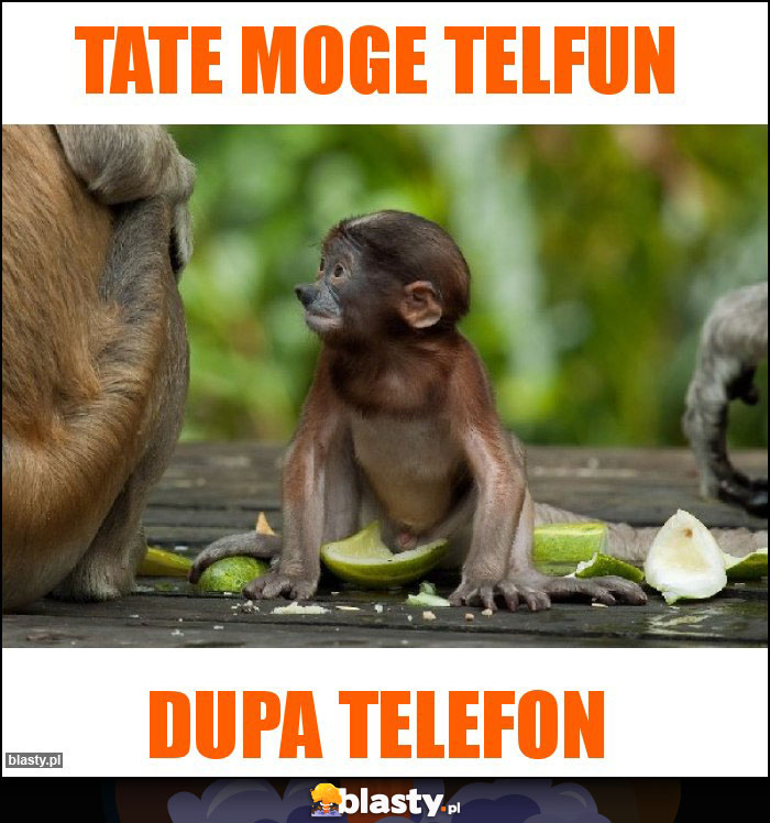 Tate moge telfun