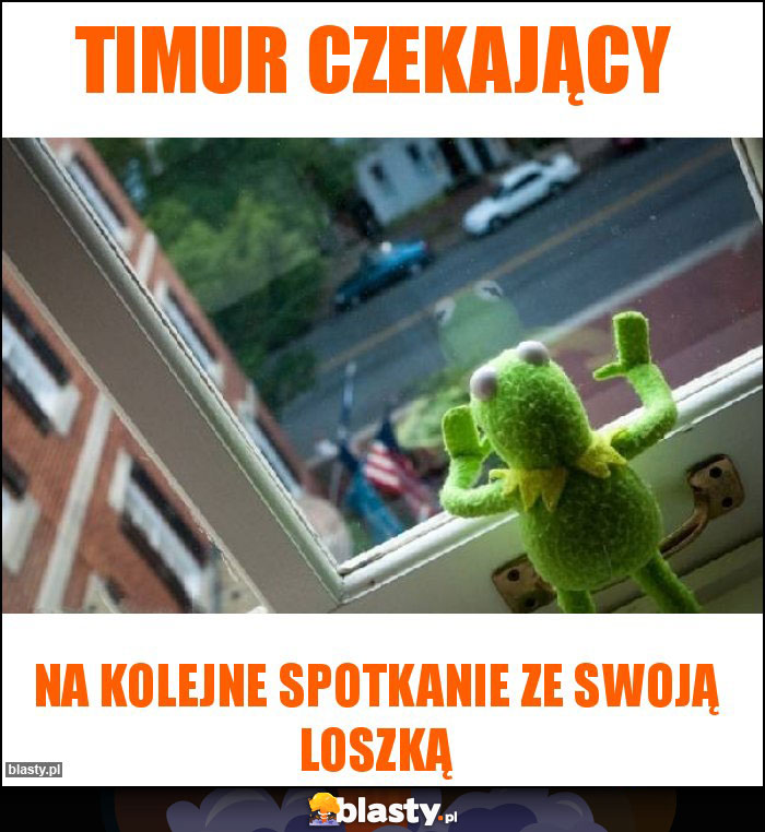 Timur czekający