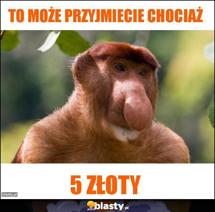 To może przyjmiecie chociaż