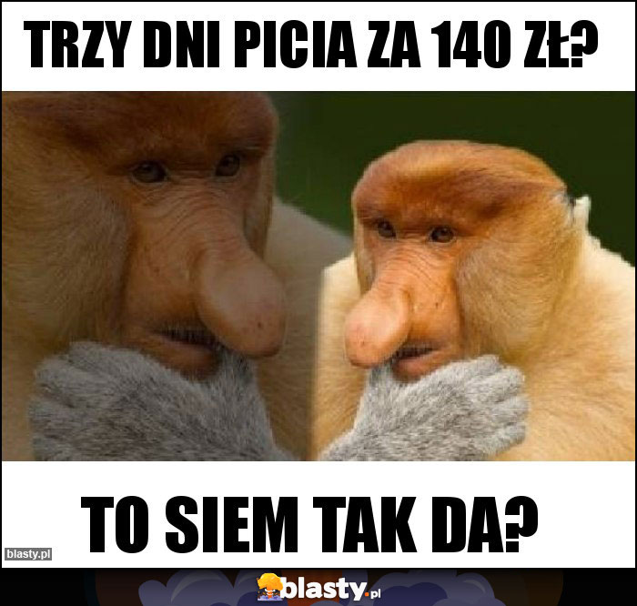 Trzy dni picia za 140 zł?