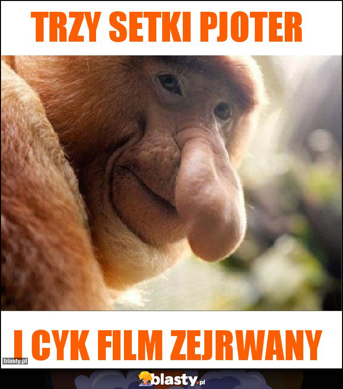 Trzy setki Pjoter