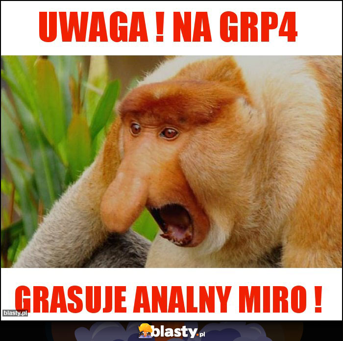 uwaga ! na grp4