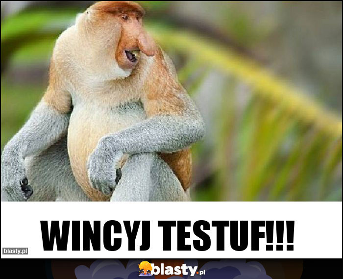 Wincyj testuf!!!