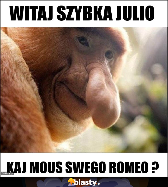 Witaj szybka Julio